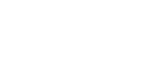 LS Tech מיתוג